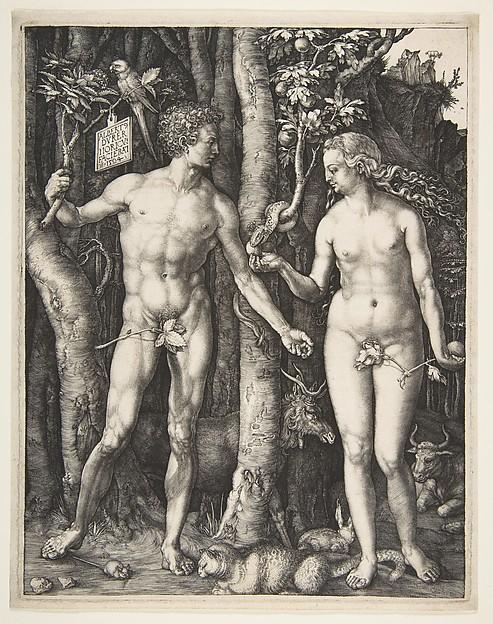 Albrecht Dürer — Adam und Eva