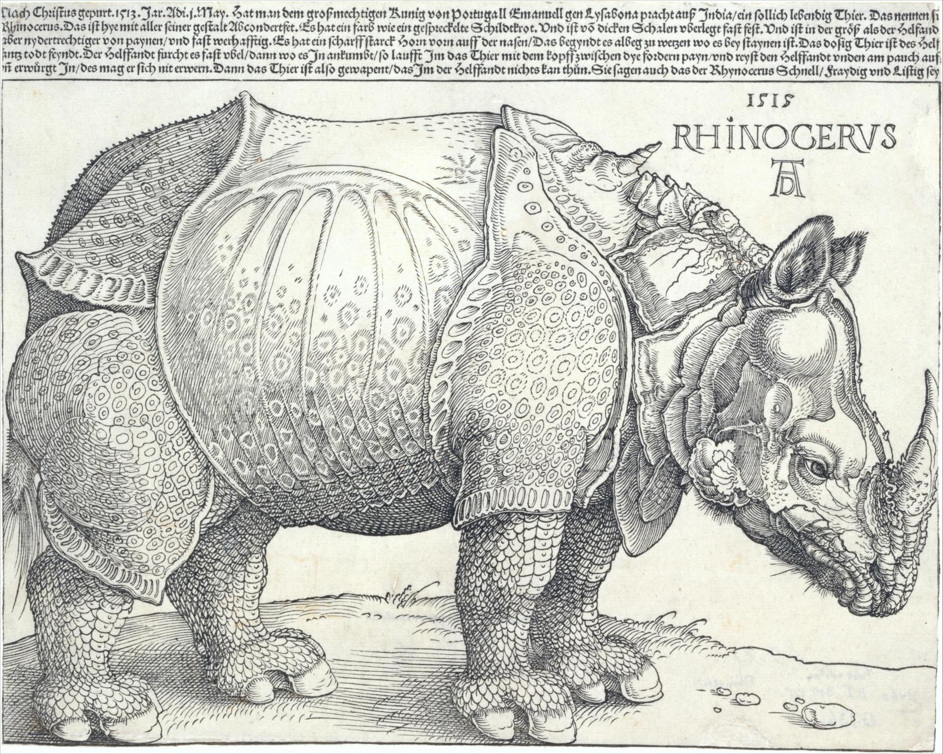 Albrecht Dürer — Das Nashorn