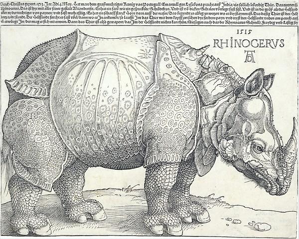 Albrecht Dürer — Das Nashorn